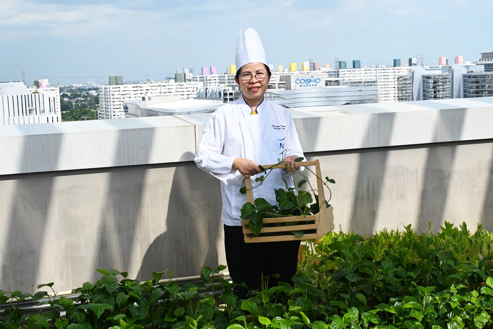 Wild Betel Leaves 野生蒌叶