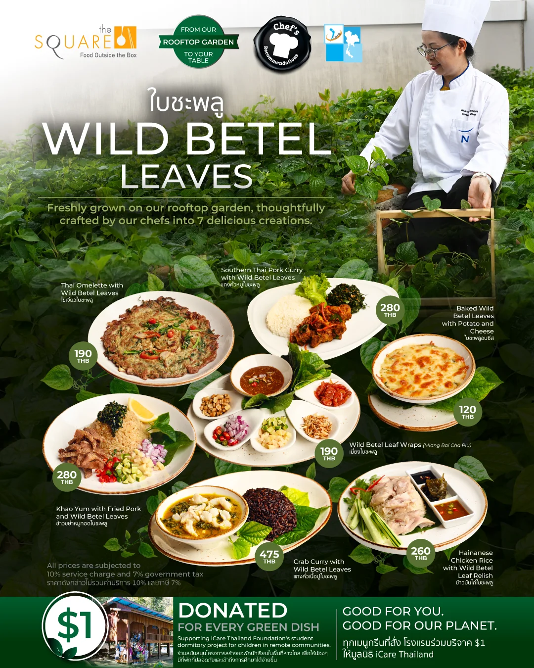 Wild Betel Leaves 野生蒌叶